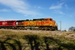 BNSF 5000